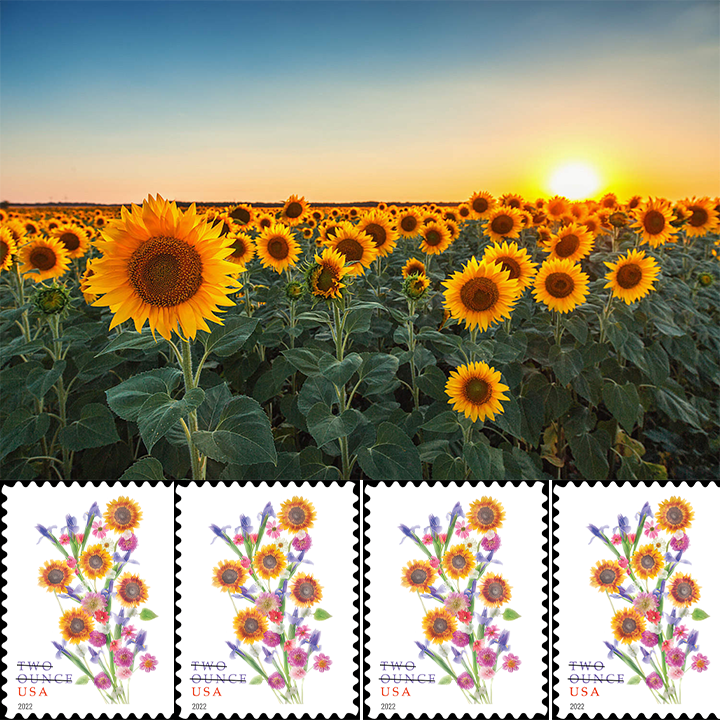 2022 Sunflower Bouquet Two Ounce Forever®Stamp - Forever Stamps