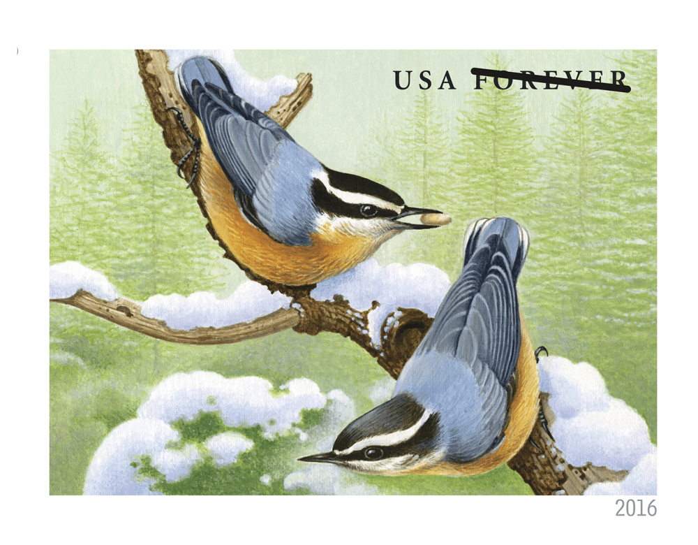 2016 Forever Stamps Songbirds In Snow - Forever Stamps