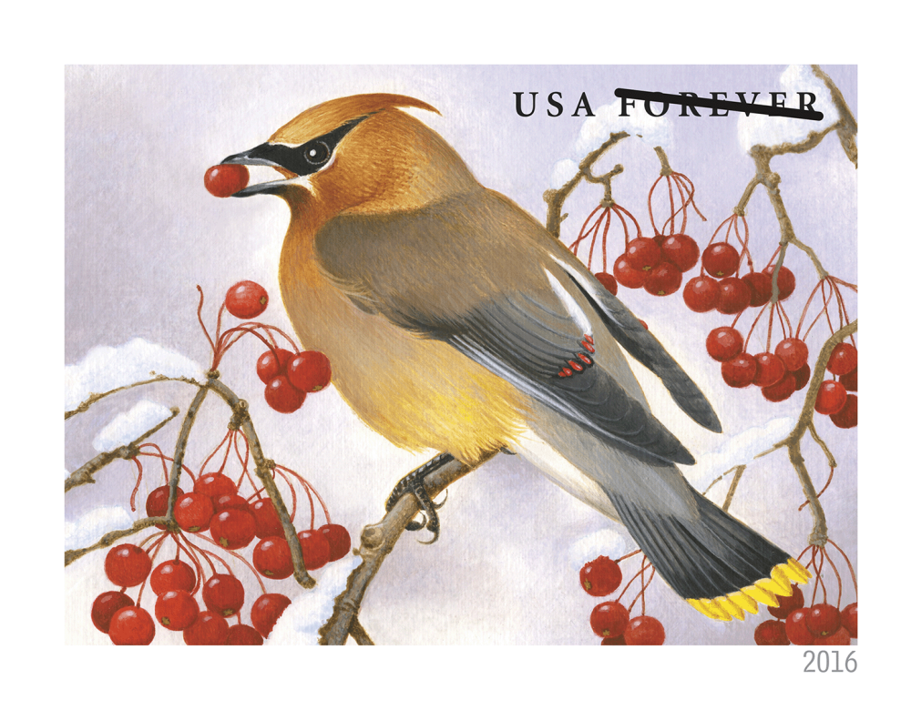 2016 Forever Stamps Songbirds In Snow - Forever Stamps