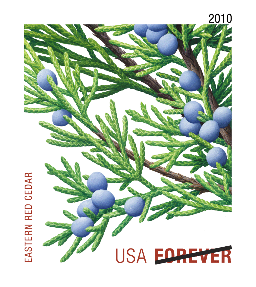 2010 Evergreens Stamps - Forever Stamps