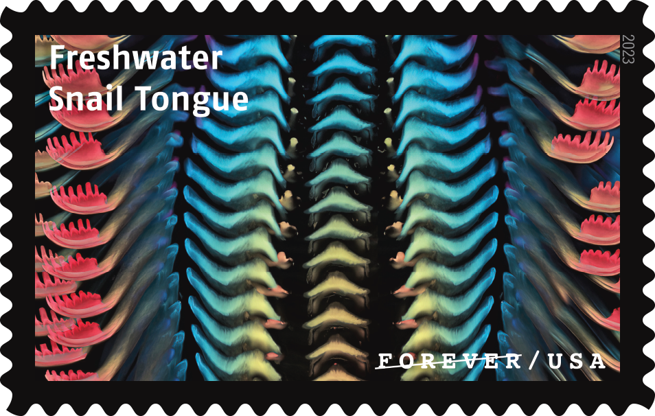 2023 Life Magnified Stamps - Forever Stamps